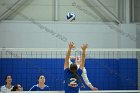 VB vs USCGA  Wheaton College Women's Volleyball vs U.S. Coast Guard Academy. - Photo by Keith Nordstrom : Wheaton, Volleyball